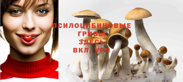 СК Алзамай