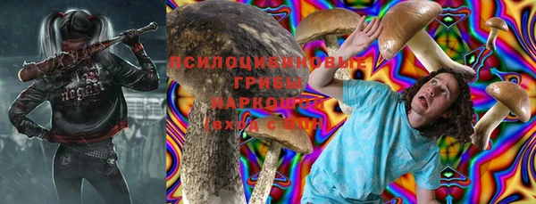 Альфа ПВП Алексин