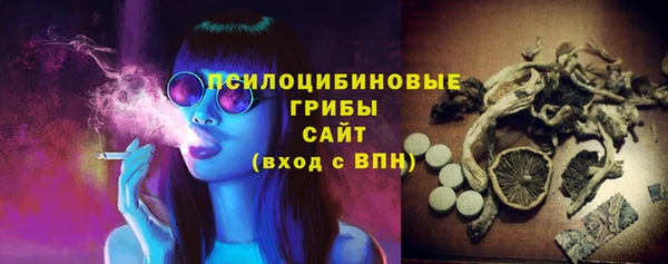 Альфа ПВП Алексин