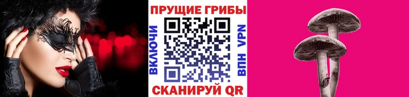 мега вход  где можно купить наркотик  Сосенский  Псилоцибиновые грибы Magic Shrooms 